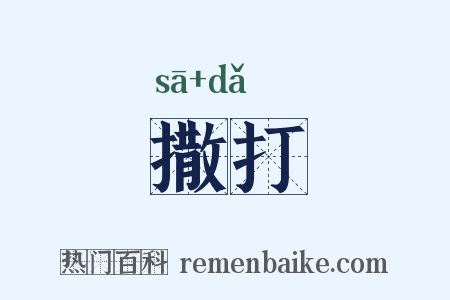 撒打是什么意思的图片